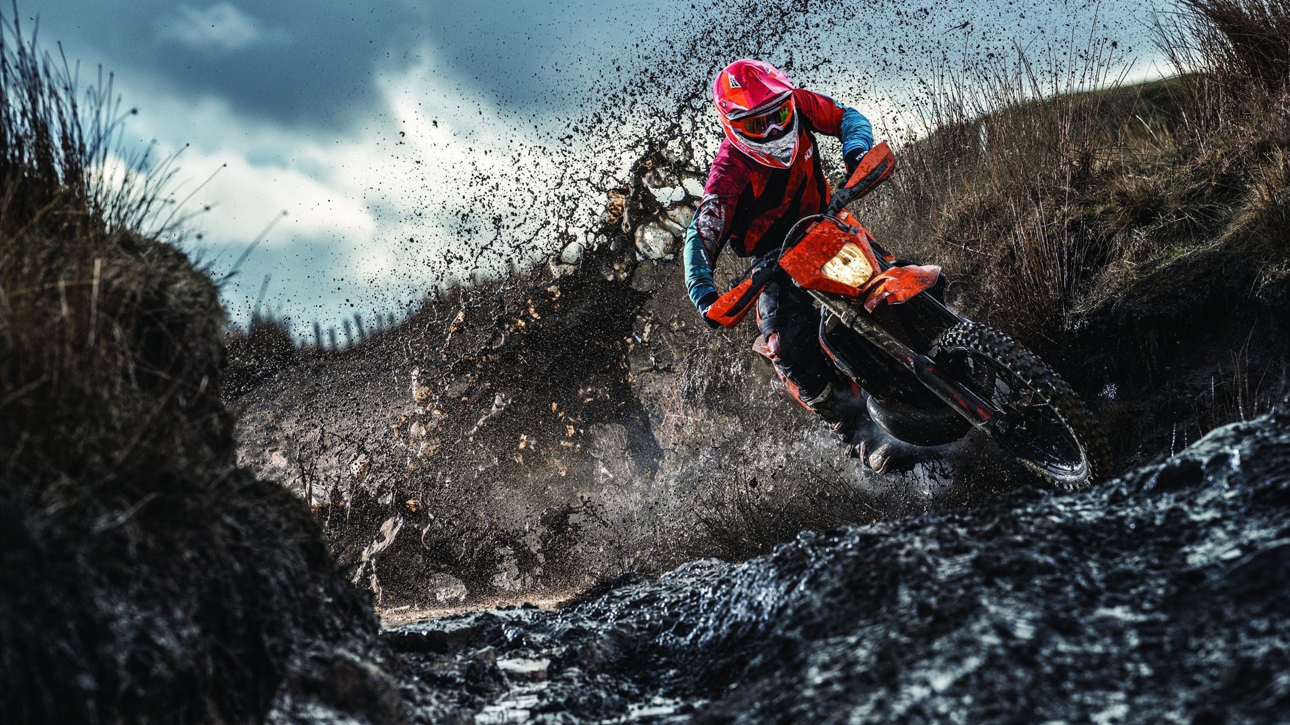 森林狼火力压制篮网，克莱在NBA总决赛接管比赛，当狼群咆哮与佛光普照相遇