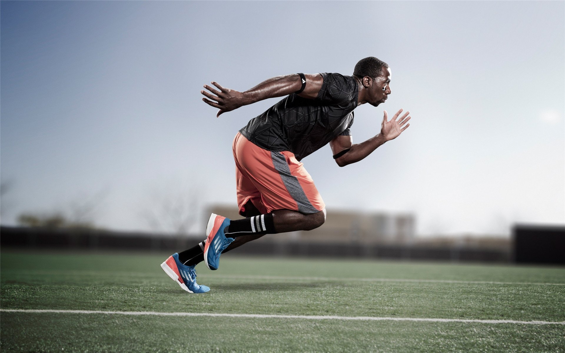 F1年度争冠焦点战,尼克斯踏平勇士,赛道与球场的双线狂飙